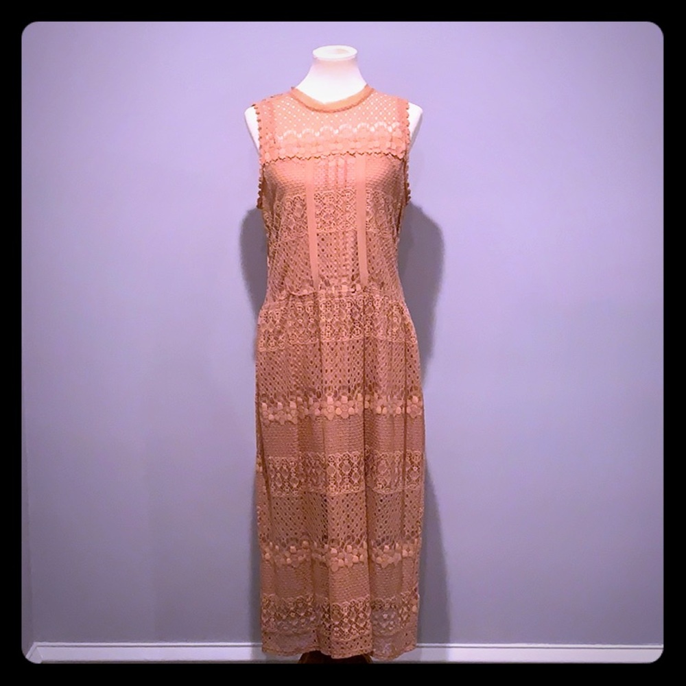 Midi Lace Dress with slip underlay.
